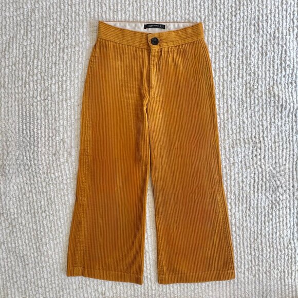 Perfect Fall Pants ZARA Golden Yellow Corduroy Crop (Super Soft!) - Picture 6 of 13